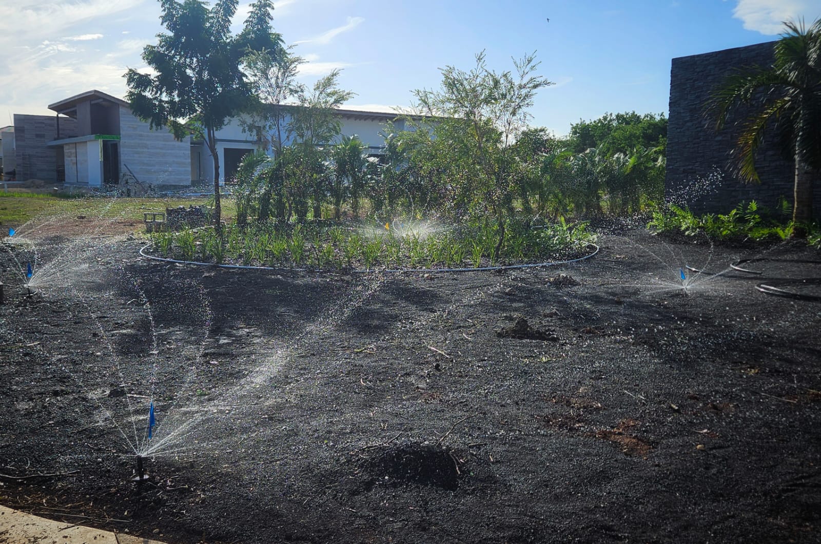 WhatsApp Image 2025-11-26 at 10.51.51 AM